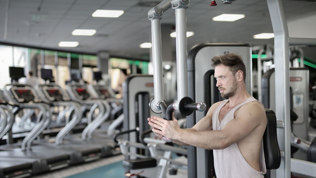 dumbbell chest supported row